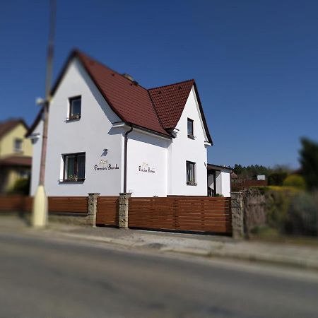 Penzion Burda Sepekov Buitenkant foto